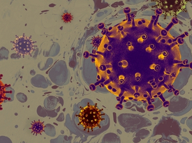 Fever Treatment